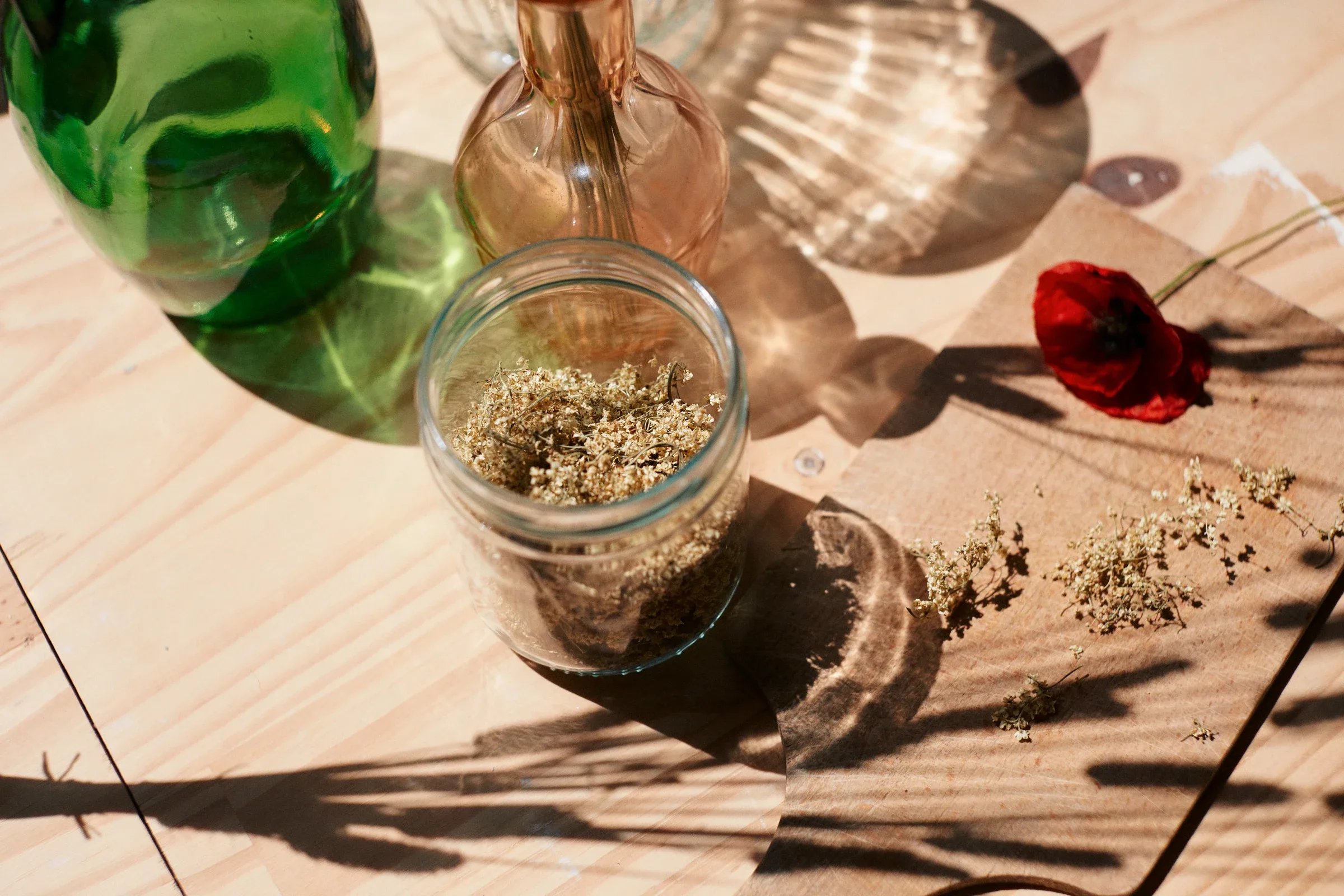 Ces Herbes Folles, photograph 4