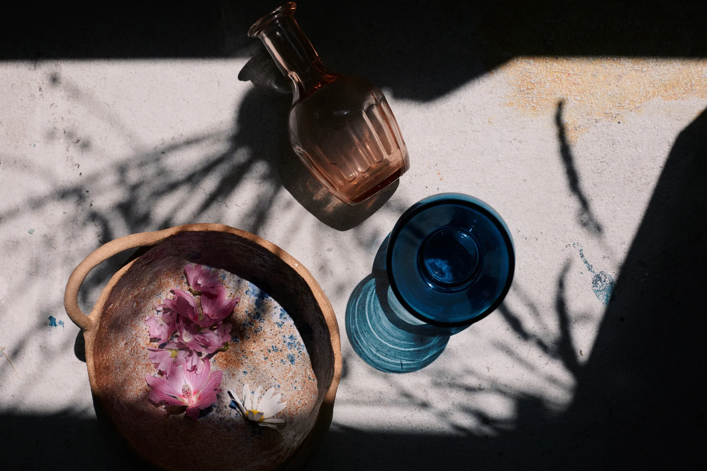 Ces Herbes Folles, photograph 5