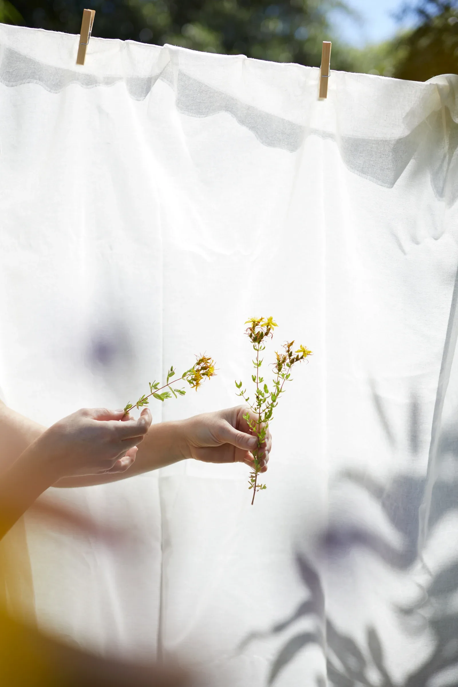 Ces Herbes Folles, photograph 9