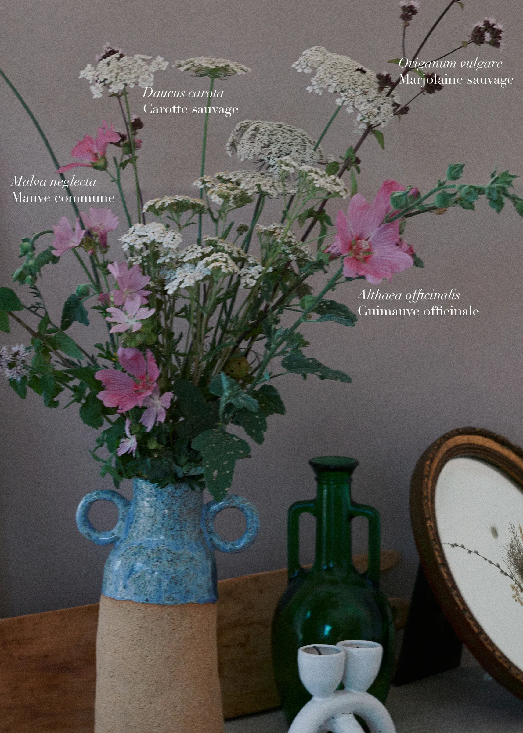 Ces Herbes Folles, photograph 11