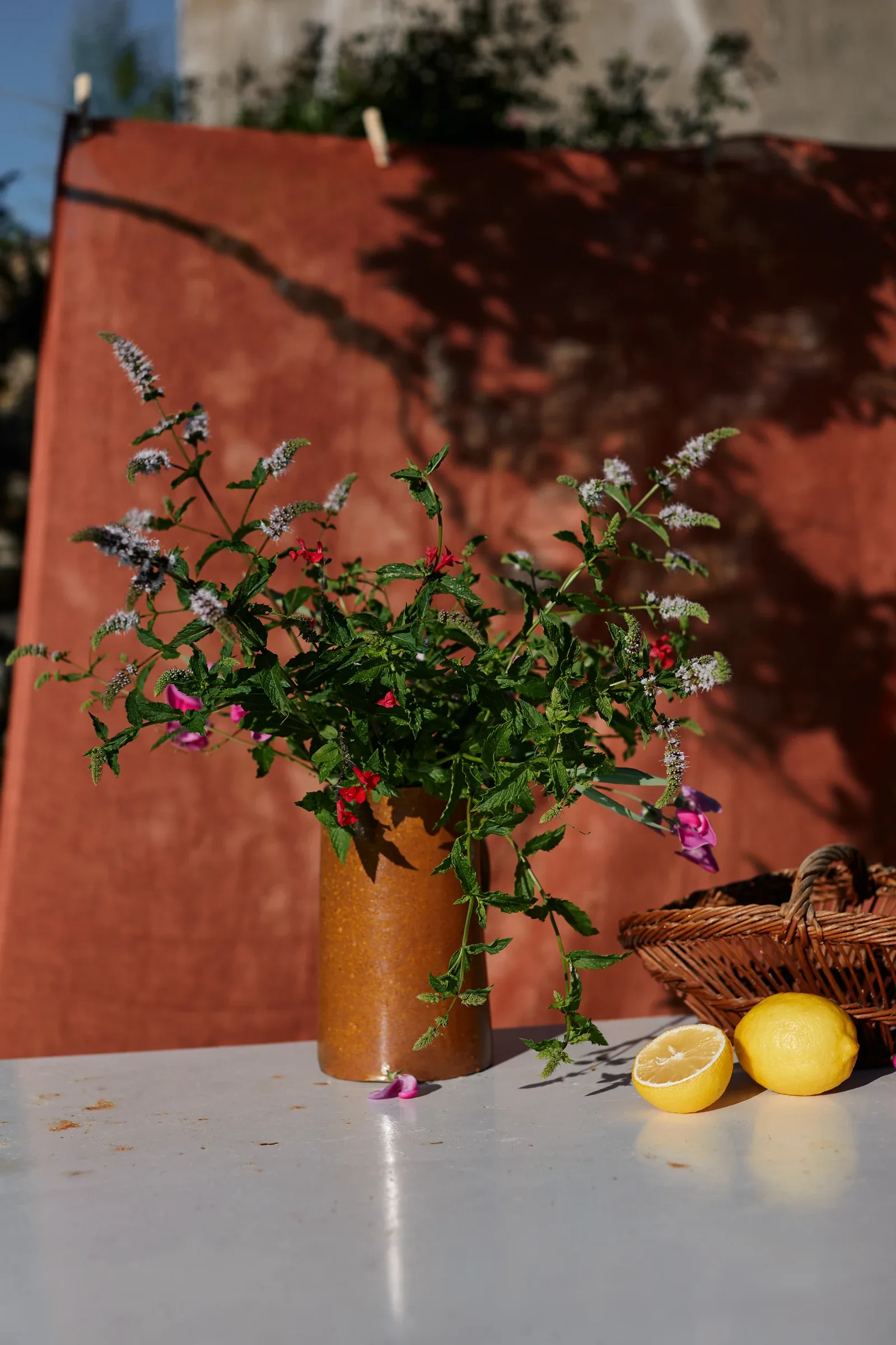 Ces Herbes Folles, photograph 15