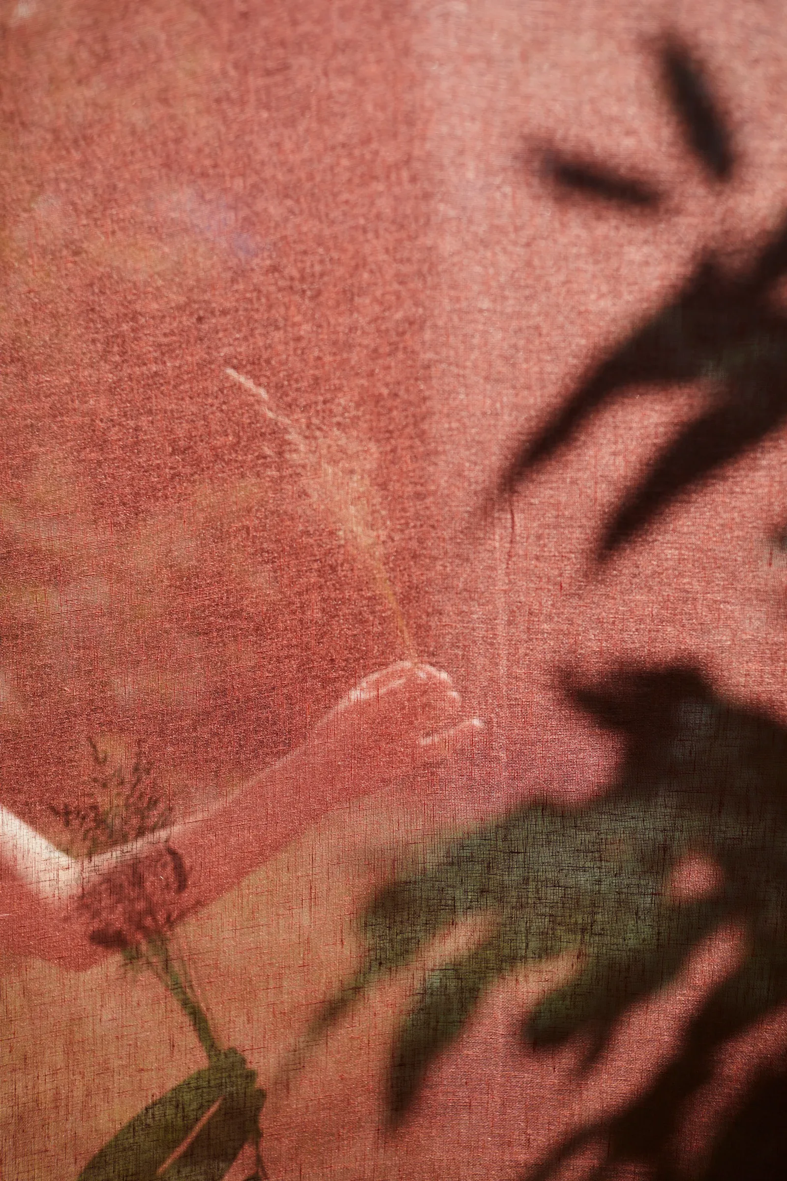 Ces Herbes Folles, photograph 18