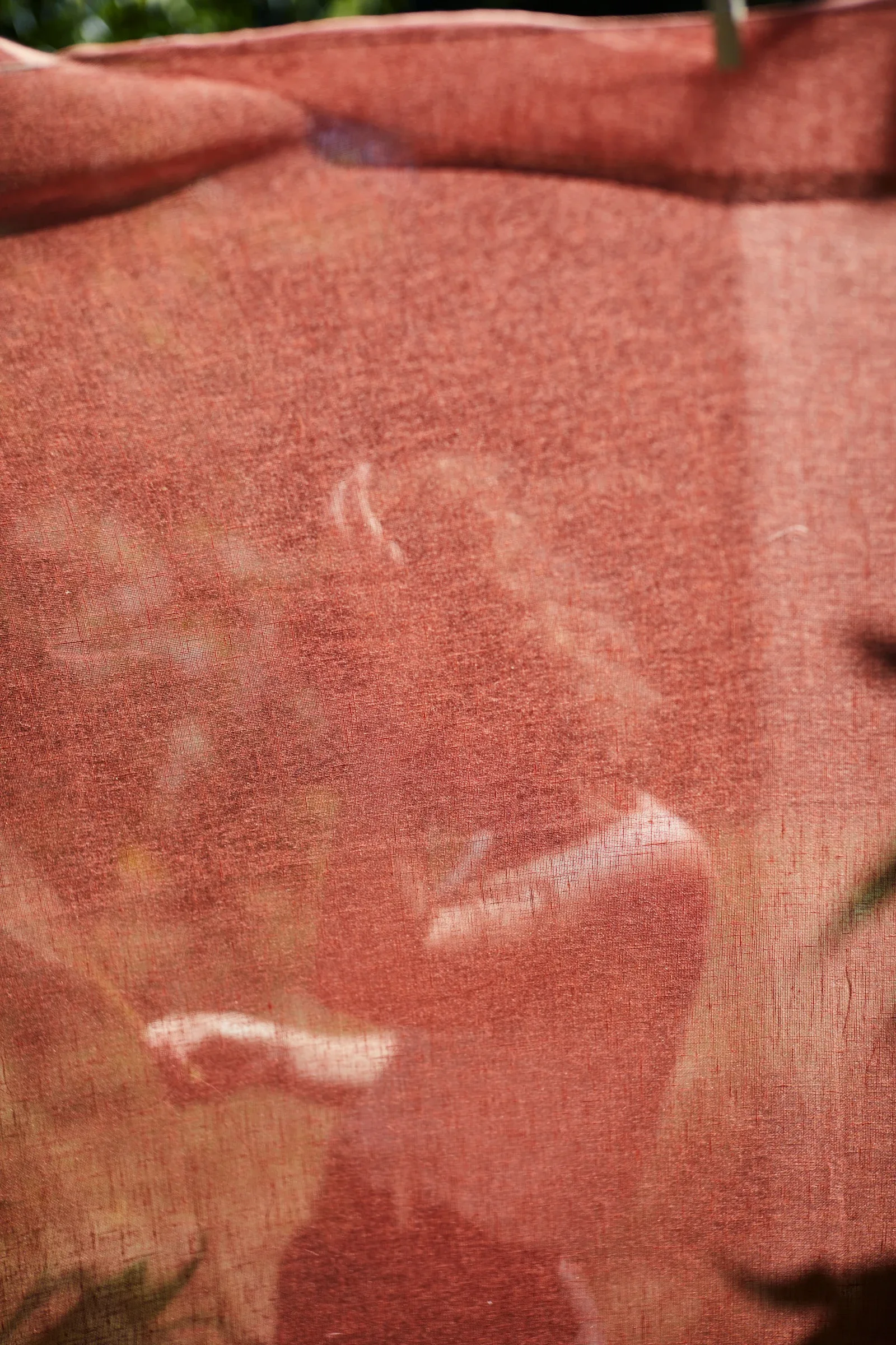 Ces Herbes Folles, photograph 19
