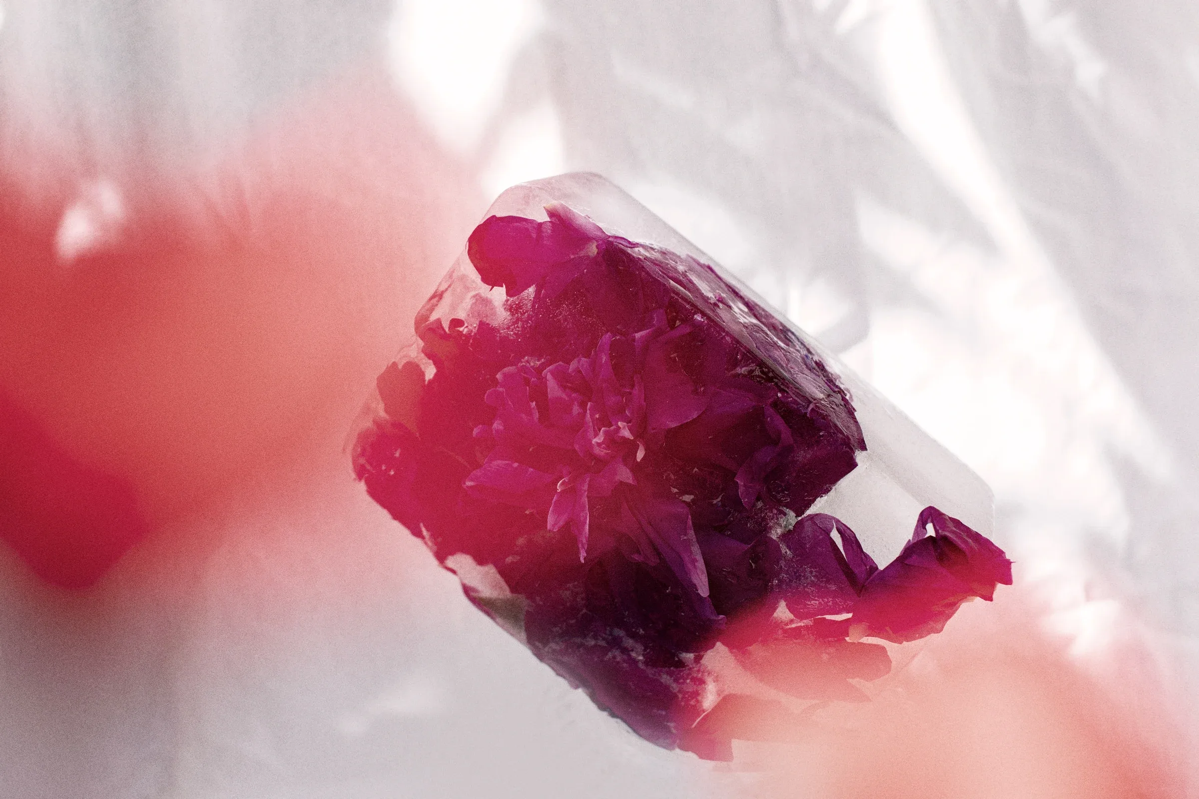 Ice Studies, photograph 1
