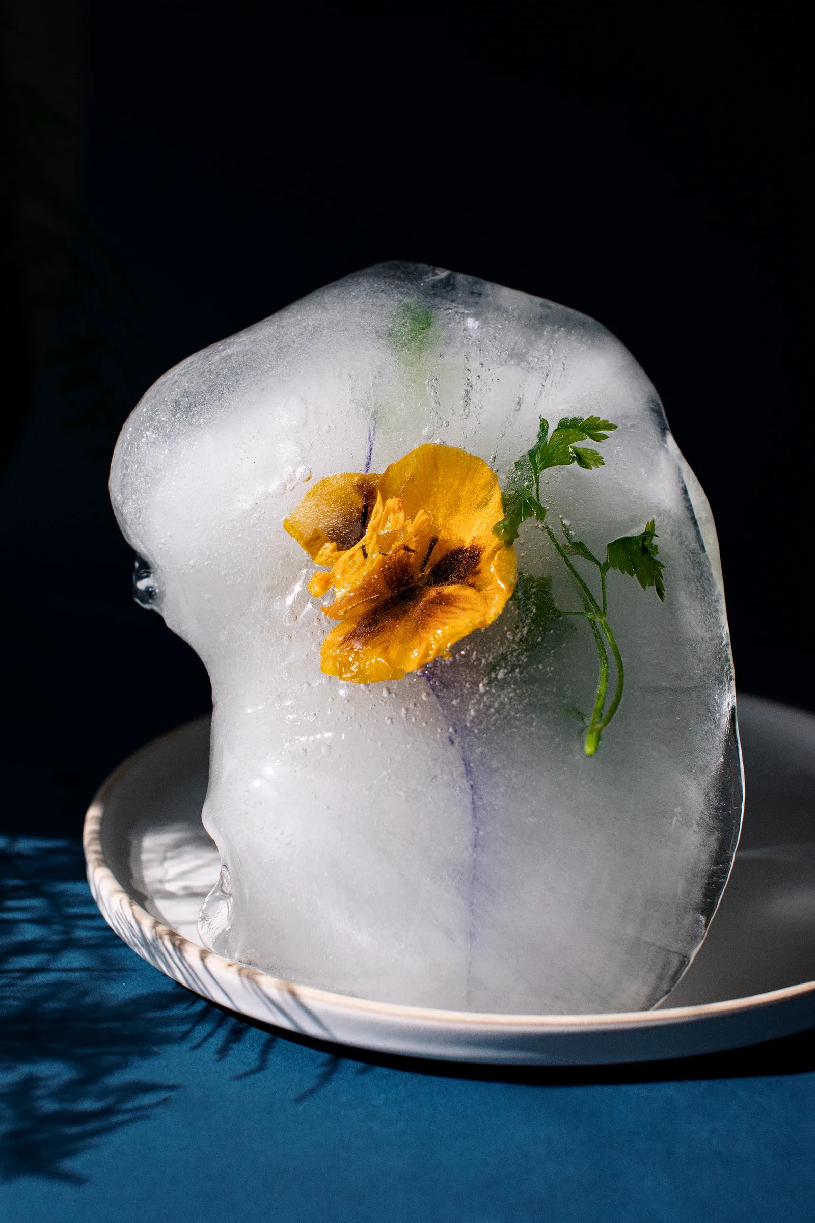 Ice Studies, photograph 2