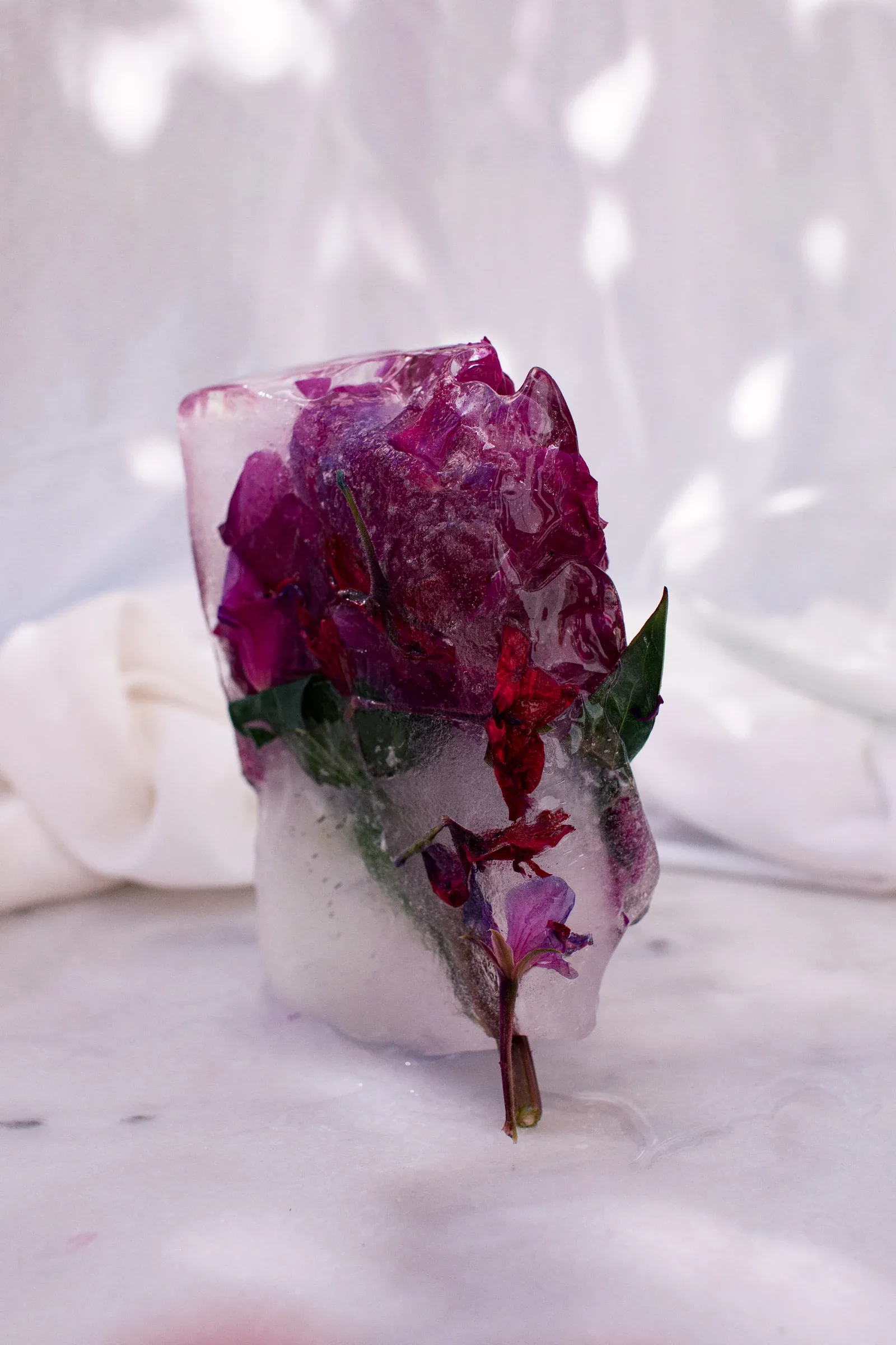 Ice Studies, photograph 3