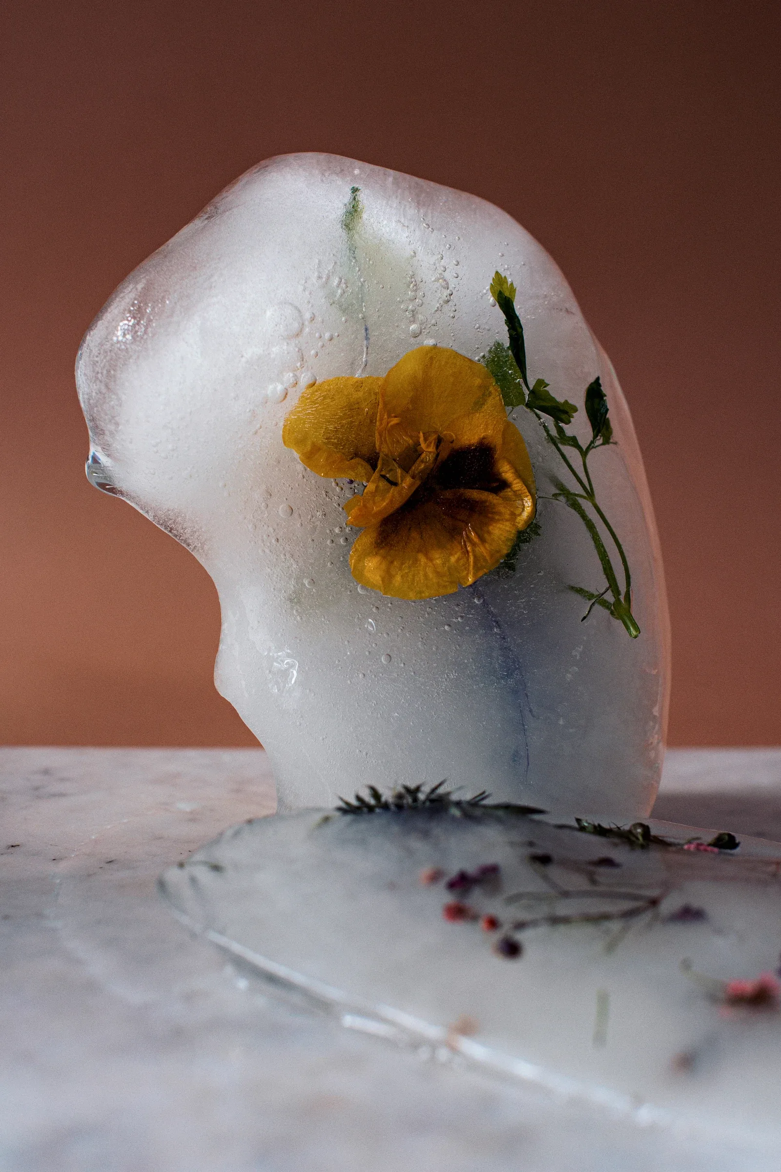Ice Studies, photograph 4