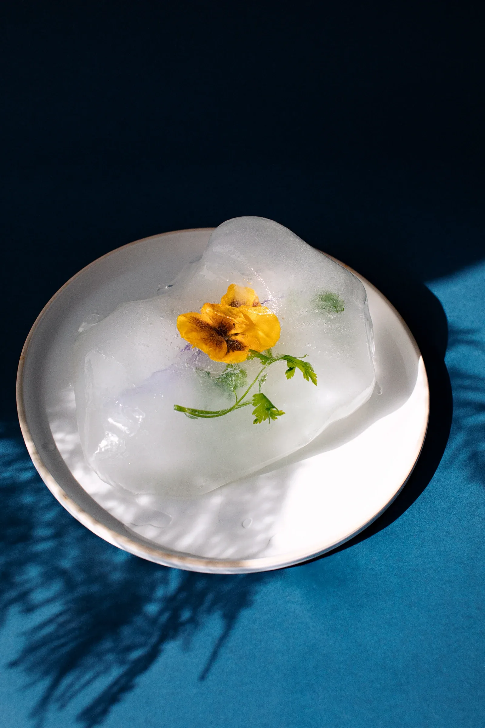 Ice Studies, photograph 5