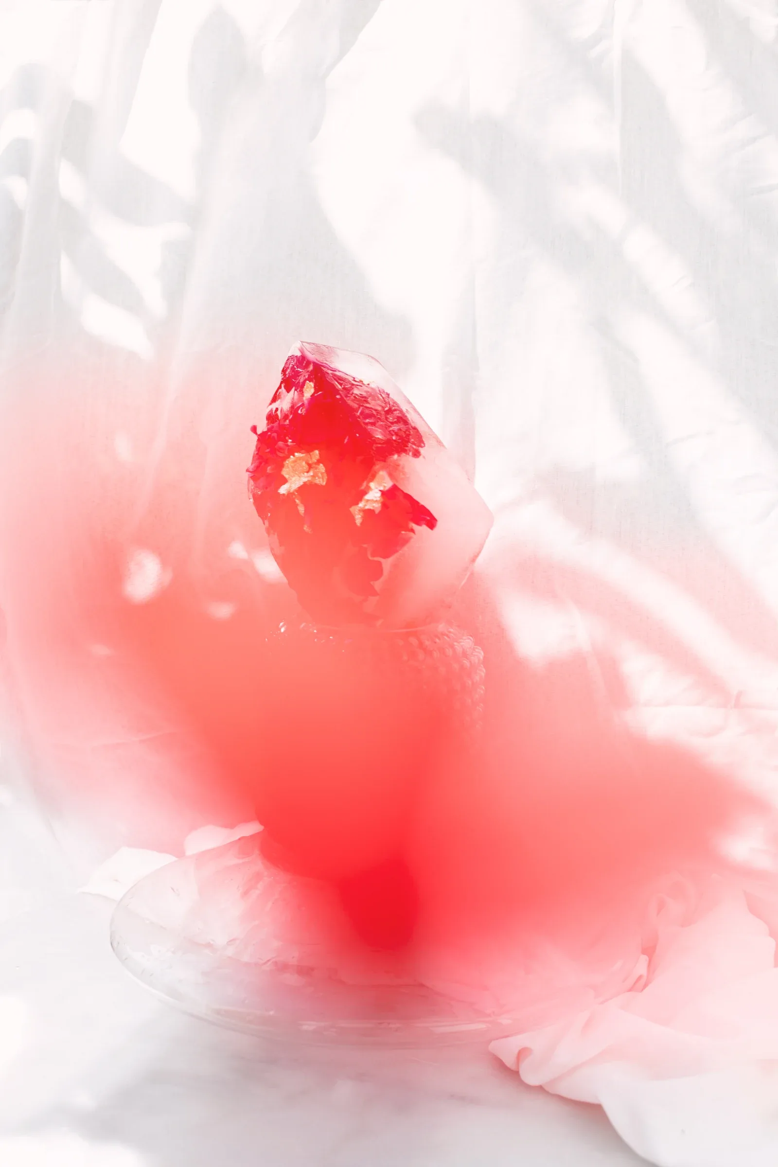 Ice Studies, photograph 6