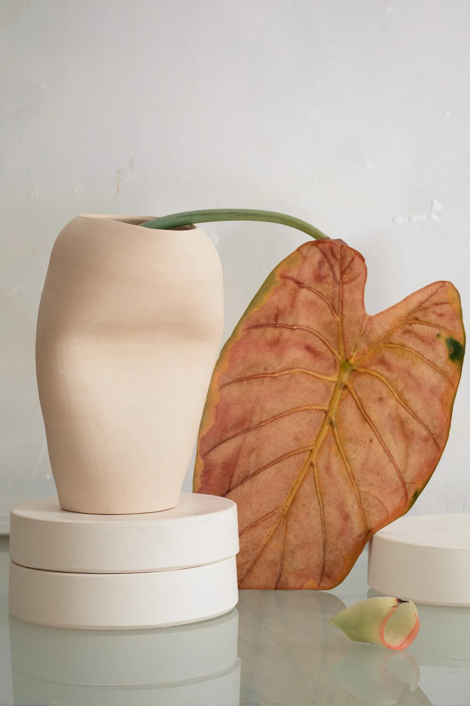 Céramiques, photograph 6